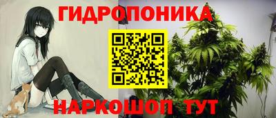 гидра Славянск-на-Кубани