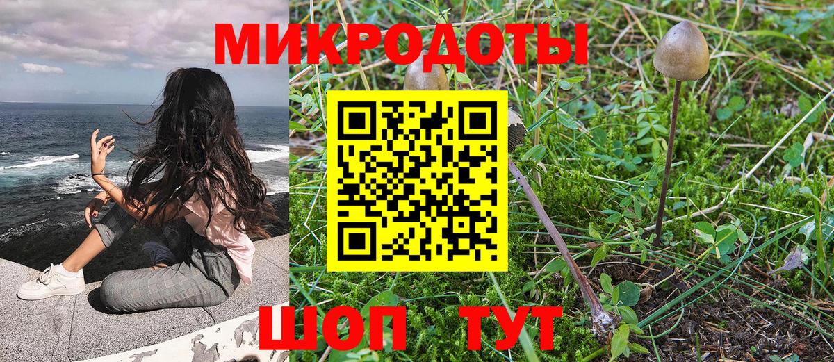Галлюциногенные грибы Psilocybine cubensis  Псилоцибиновые грибы мицелий  Ногинск  Вход с VPN 