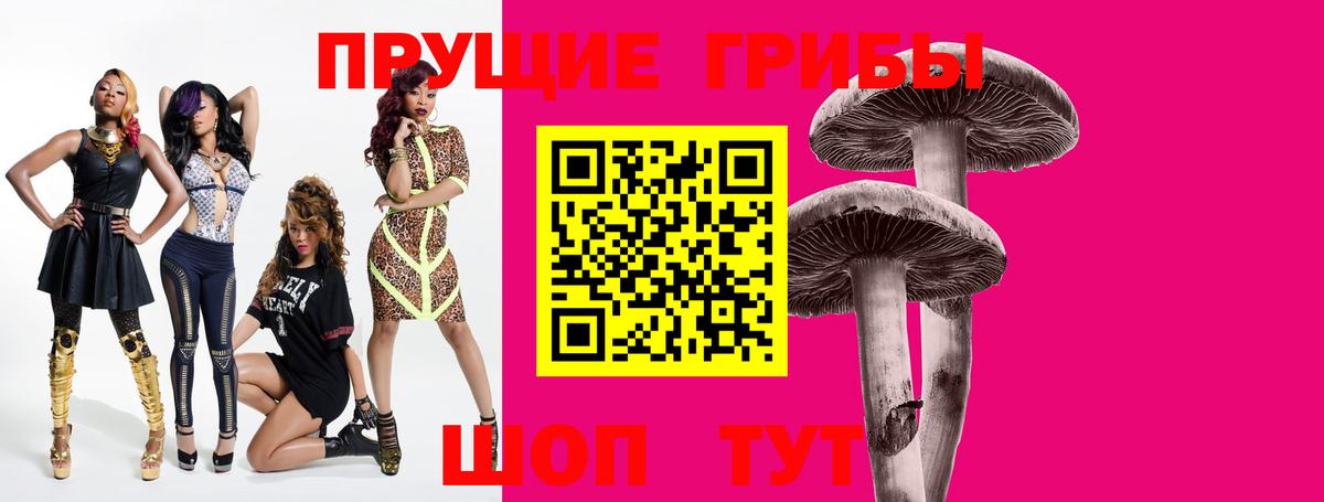Псилоцибиновые грибы прущие грибы Ногинск